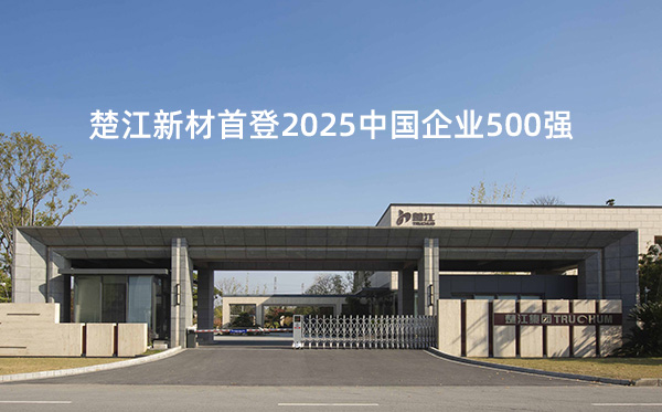 楚江新材首登2025中國企業(yè)500強(qiáng)